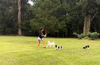 Happy Place near WEC , Natural Springs,Zip-Line - Photo 49