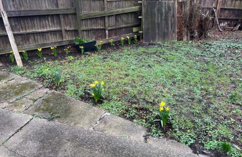 Corporate, Contractors Hollies House, 5 Bedrooms sleeps 15 - Foto 38