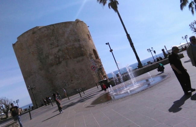 Actinia Accomodation - Photo 58