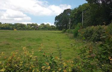 Trelowen Cottage - Photo 10