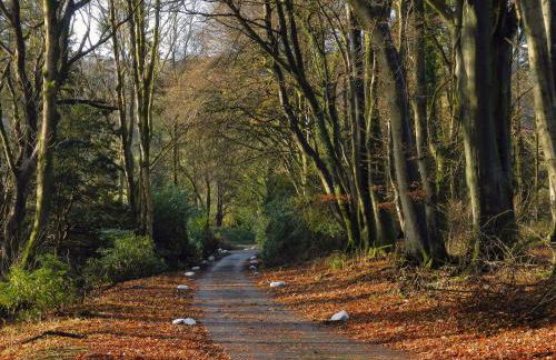 Machermore Castle - Foto 18