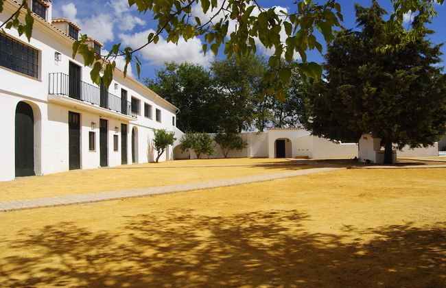 Cortijo de Vega Grande - Photo 49