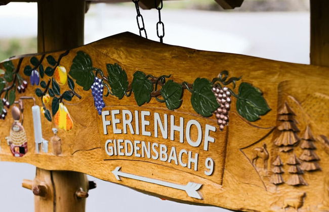 Lovely Apartment in Baden-wurttemberg - Foto 6