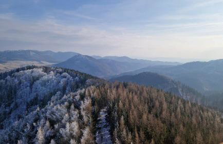 Zielona Góra Apartament - Foto 50