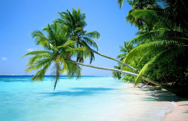 Royale Suites by Arc Royale Luxury Apts - Photo 24