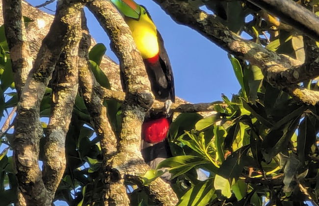 Campos de Oro Wilderness Lodge - Photo 46