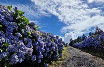 CASITA DA DOCTORA - Foto 67