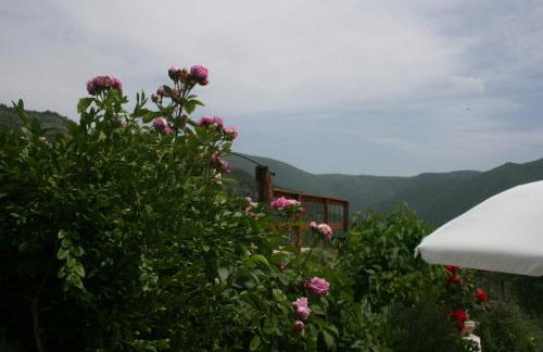 Agriturismo Tre Monti - Photo 17