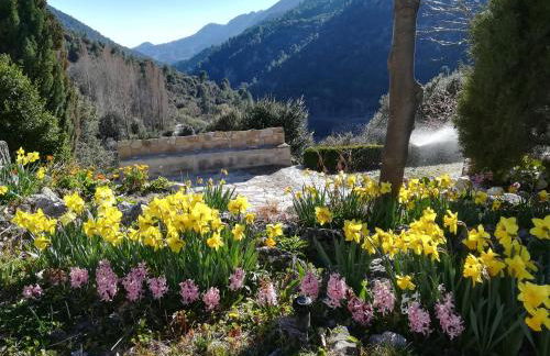 Saluda Alta - Foto 27