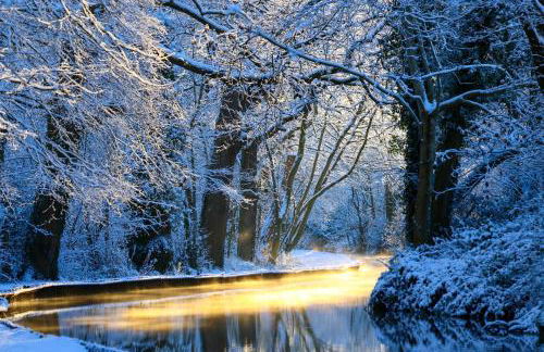 Woodland, Canal & Lakeside Cottage - Foto 15