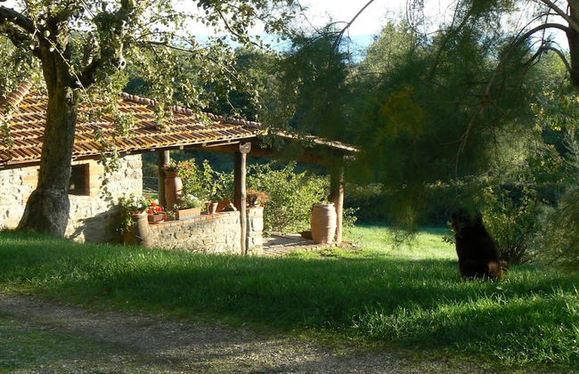 Agriturismo La Casina della Burraia - Photo 50