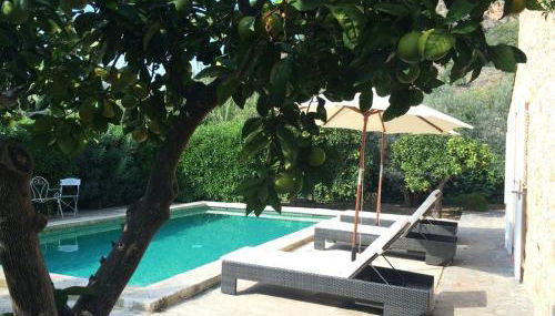 Ses llimoneres - Foto 2