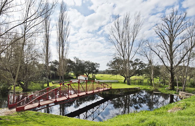Herdade do Barrocal de Baixo - Foto 53