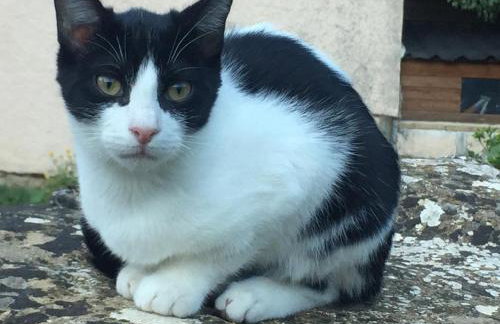 apartamentos turisticos san juan de la peña - Foto 35