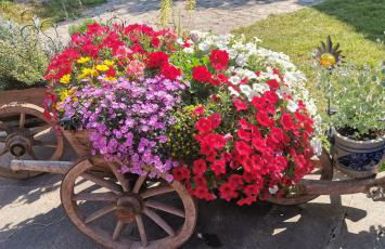 Gfliererhof - Foto 72