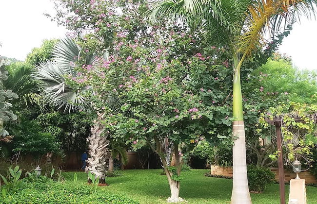 Malee Garden - Foto 32