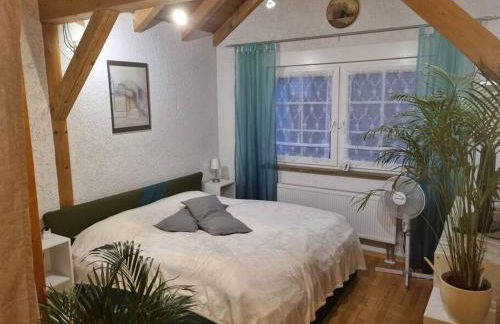 Gemütliche Dachgeschosswohnung - Foto 2