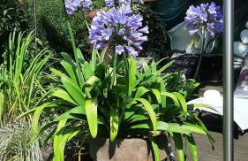 deluxe Doppelzimmer - Foto 39