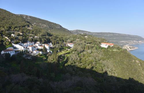 Setubal Courtyard Houses - PAINTERS HOUSE - Photo 21