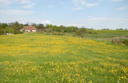 Nad Doliną Krutyni - Foto 22