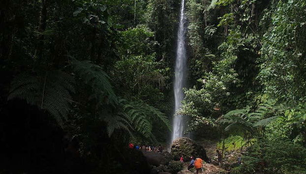 Cascade de la Réserve Hola Vida