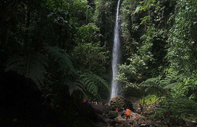 Excursion à la Réserve Hola Vida - Photo 2