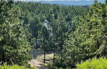 Double Arrow Cabin - Photo 14