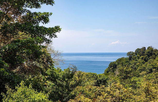 Tiki Villas Rainforest Lodge & Spa - Foto 76