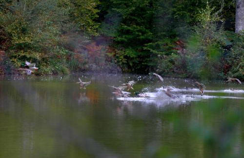 Château Le Brun - Loire Valley and vineyards - Foto 34