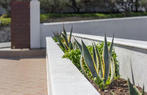 Triovasalos House - Foto 20