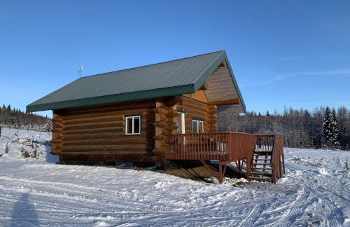Secluded Log Cabin, 30 min from Chena Hot Springs - Foto 1