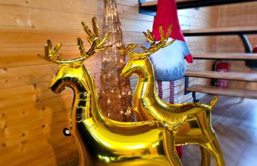 Domki Diabolina - sauna, jacuzzi, klimatyzacja, kominki - Foto 57