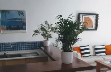 Golondrina - Foto 39