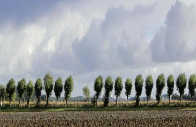 Breskens Haven: Relax, Explore & Dine - Photo 31