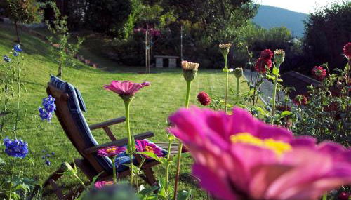 Ferienwohnung Patricia Schipper - Foto 5, Garden, Garden view