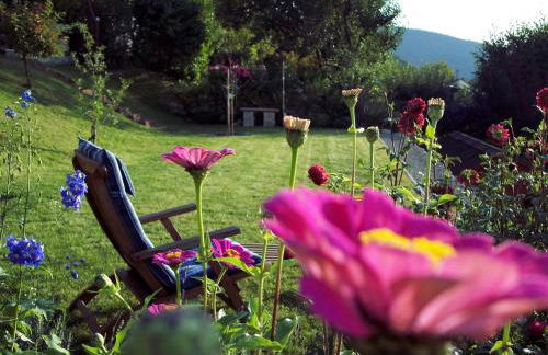 Ferienwohnung Patricia Schipper - Foto 5