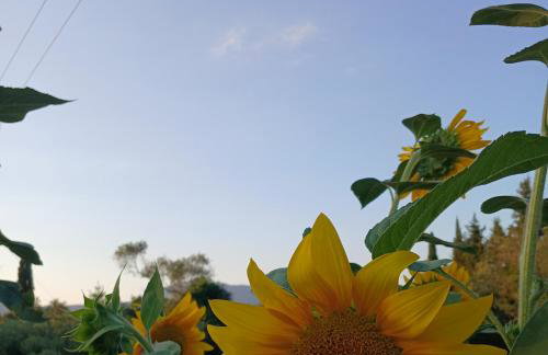 Venetton Garden House Corfu - Foto 30