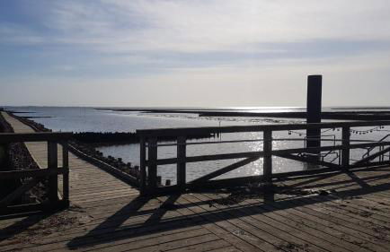 Ferienhaus Hoddebüll nah an der Nordsee - Foto 48