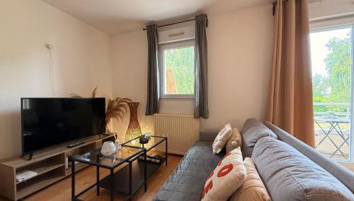 LES DUNES Studio Ideal couple,solo,famille&pro - Foto 4