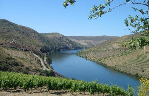 Seven Books House - Foto 31