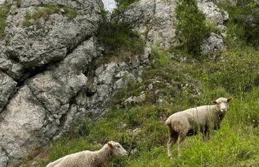 Leśna 6 - House with a garden - Foto 49