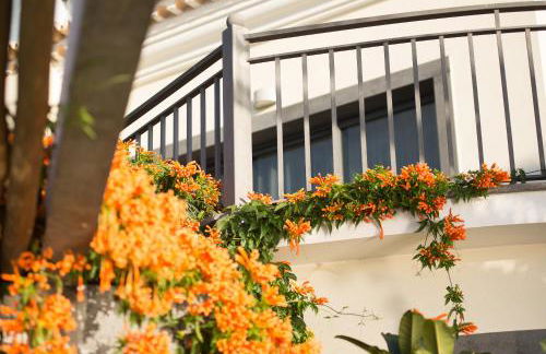 Ocean Cliff - Foto 24