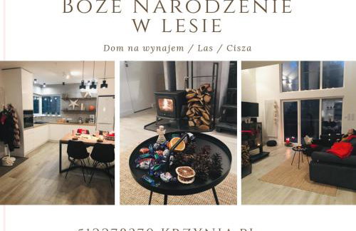 Calm House Krzynia - dom nad jeziorem do wynajęcia - Foto 50