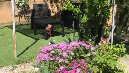 Gîte avec piscine Mes Vacances en Provence à Beaumes de Venise - Foto 5