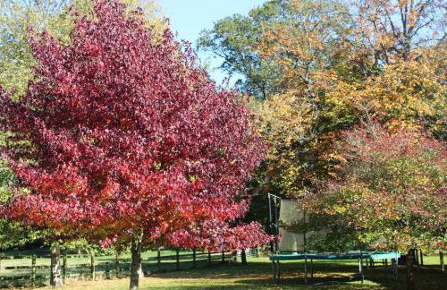 Hewletts Mill - Foto 51