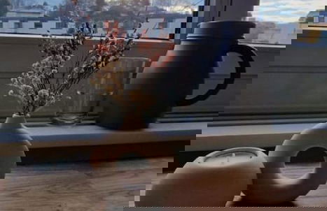 K190 - 2BDR Apartment close to Zurich Airport - Foto 18