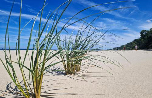 Wydmy Wiatr - Foto 38