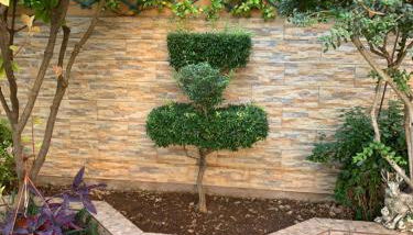 SUITE LUJOSO CON CHIMENEA - Foto 3, Garden