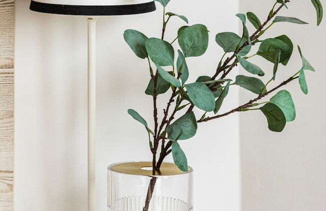 Sunny Coast Studio by Renters - Foto 27