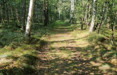 Dom na Leśnym Zaciszu 2 - Foto 42